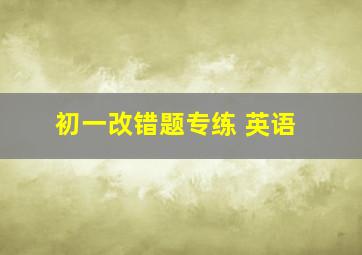 初一改错题专练 英语